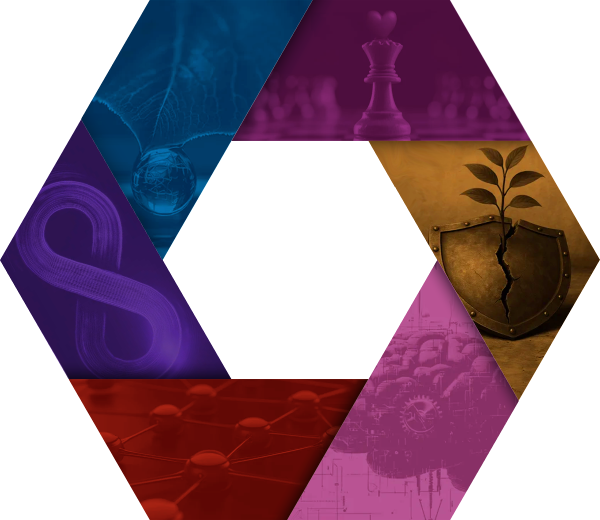 6-dimensions-graphic-hex 6-dimensions-graphic-hex